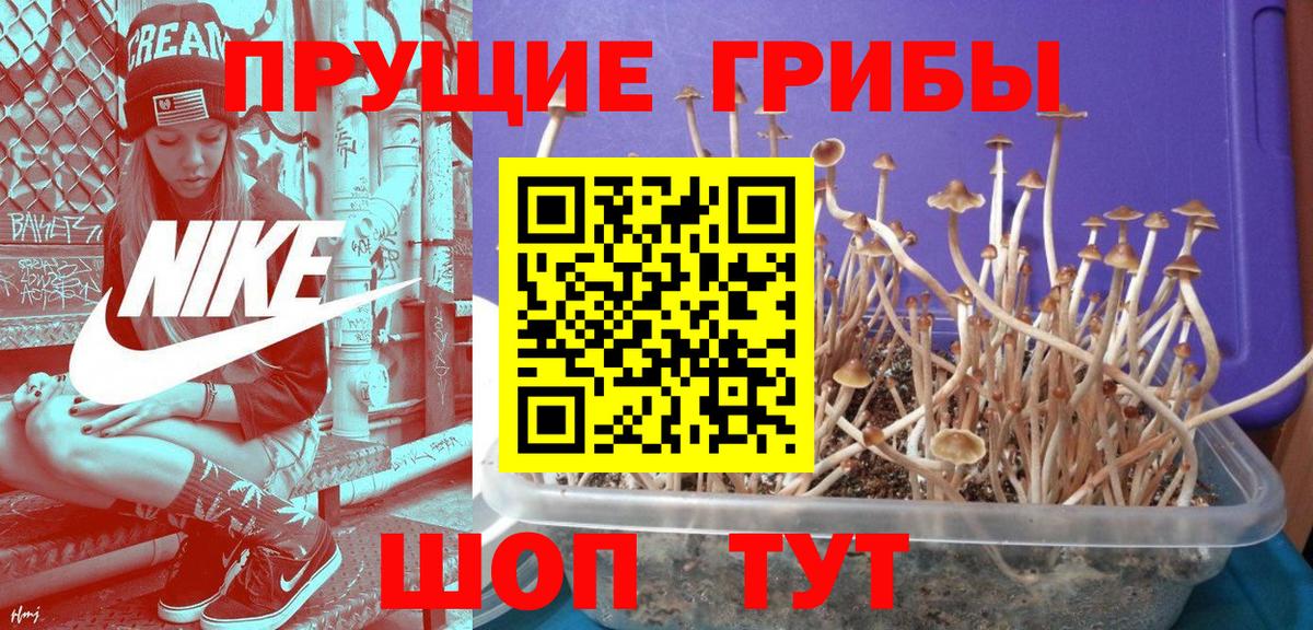 Галлюциногенные грибы ЛСД Назрань