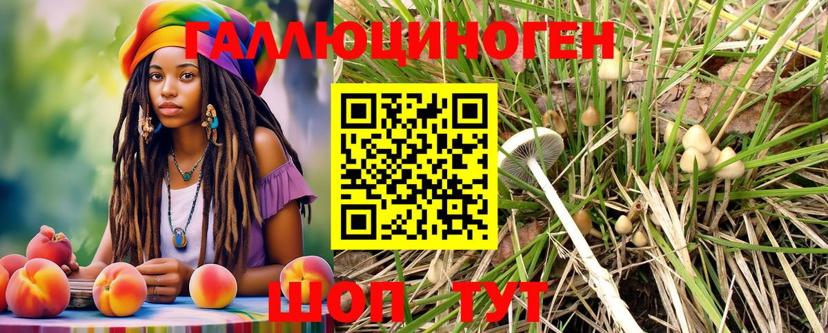 Псилоцибиновые грибы мухоморы  Вход с VPN  Назрань 